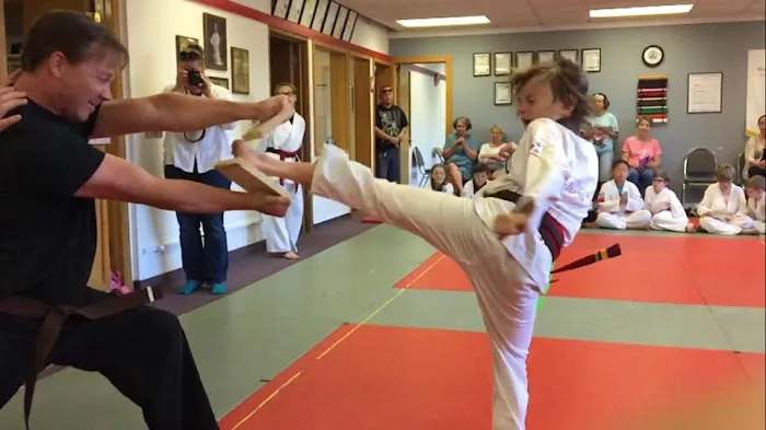 Martial Arts Academy of Tang Soo Do - MN Picture 6