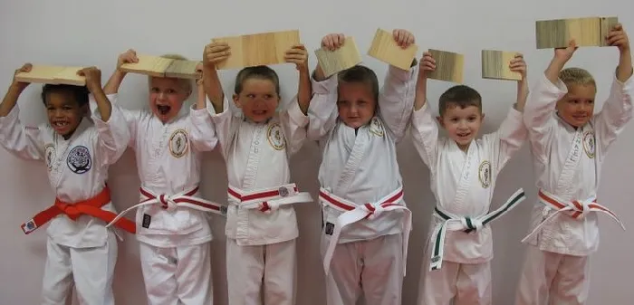 Martial Arts Academy of Tang Soo Do - MN Picture 10