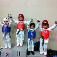 World Taekwondo Academy ico