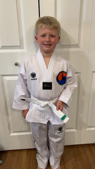 Chung's Martial Arts Tae Kwon Do Picture 1