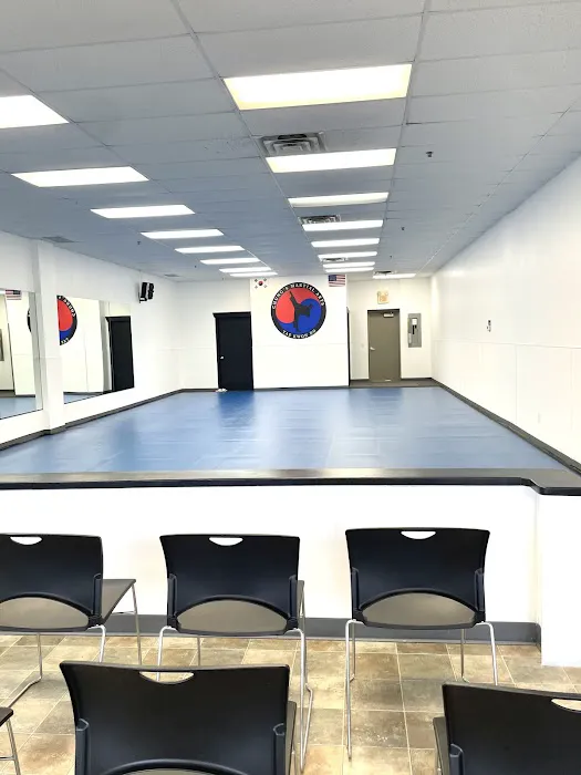 Chung's Martial Arts Tae Kwon Do Picture 4