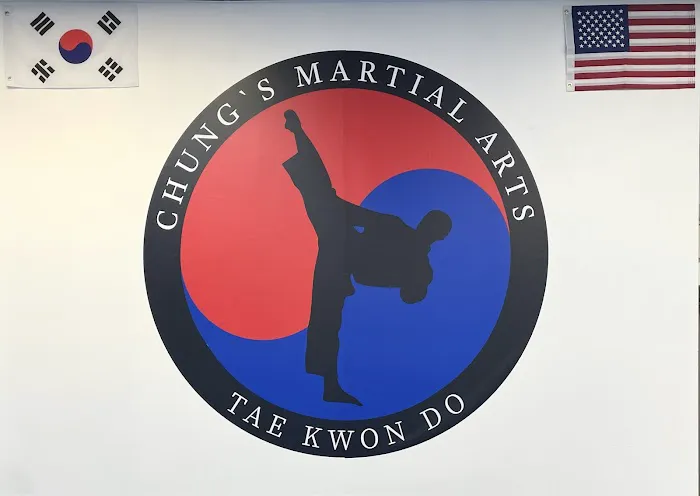 Chung's Martial Arts Tae Kwon Do Picture 6