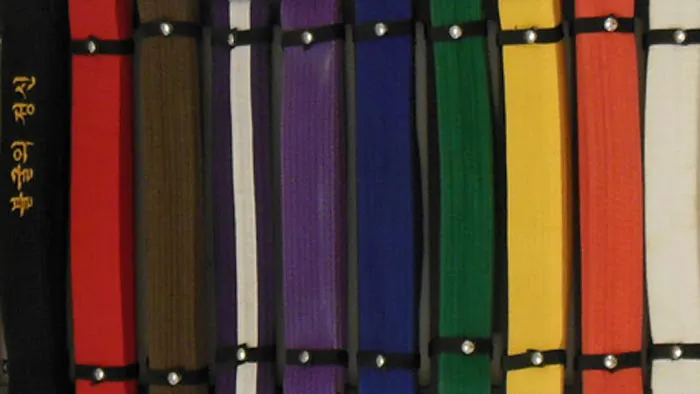 Ambition Taekwondo Picture 1