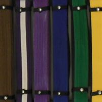 Ambition Taekwondo ico