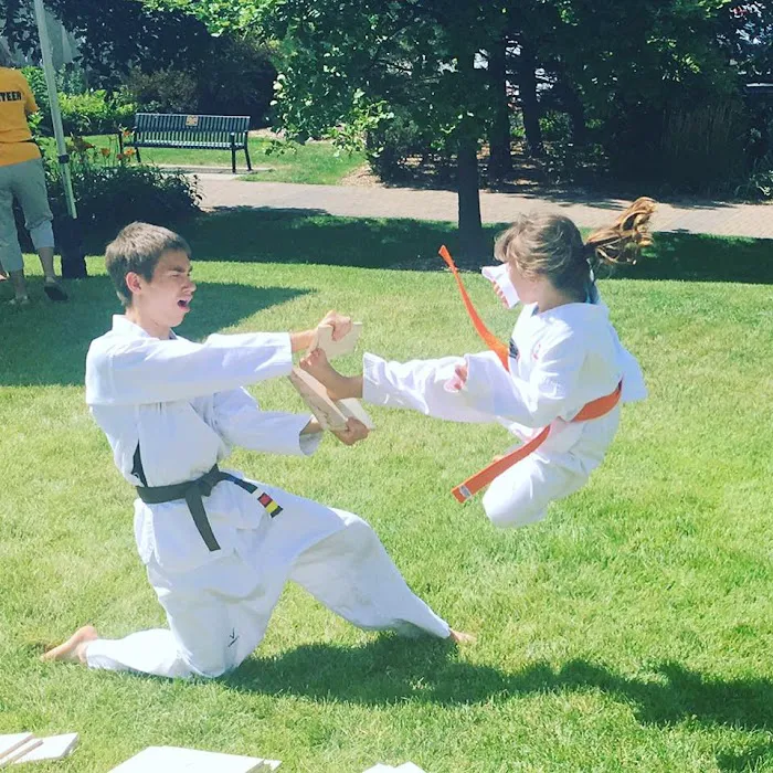Ambition Taekwondo Picture 6