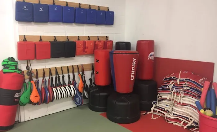 Ambition Taekwondo Picture 10