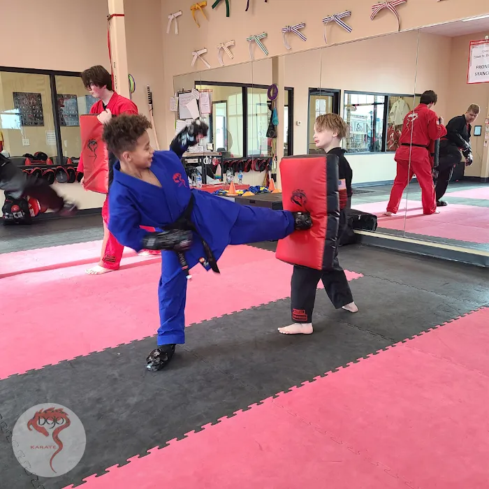 Dojo Karate - Blaine Picture 9