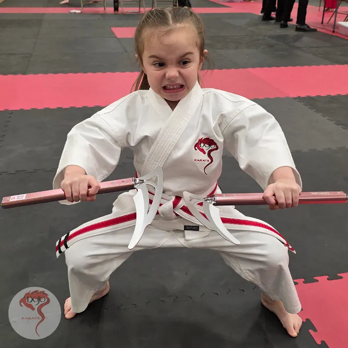 Dojo Karate - Blaine Picture 10