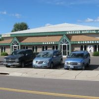 Unified Martial Arts Academy ico