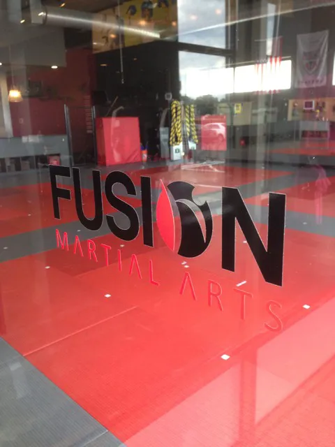 Fusion Martial Arts Picture 4