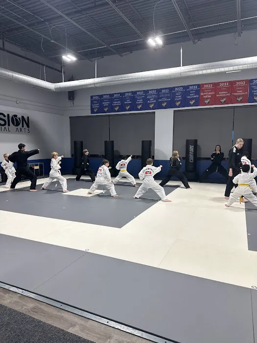 Fusion Martial Arts Picture 2