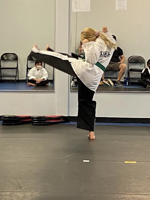 Kick Start Martial Arts Picture 2