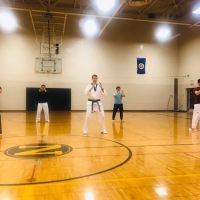 Nguyen School of Tae Kwon Do ico