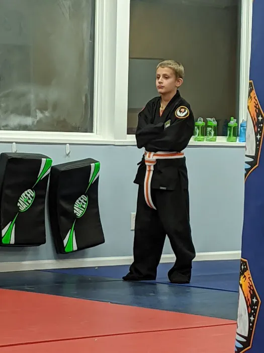 Sinking Moon School of Kung Fu Picture 2