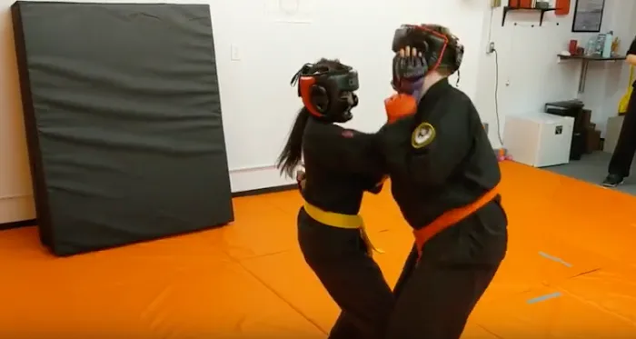 Sinking Moon School of Kung Fu Picture 6