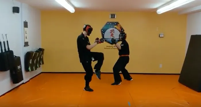 Sinking Moon School of Kung Fu Picture 10