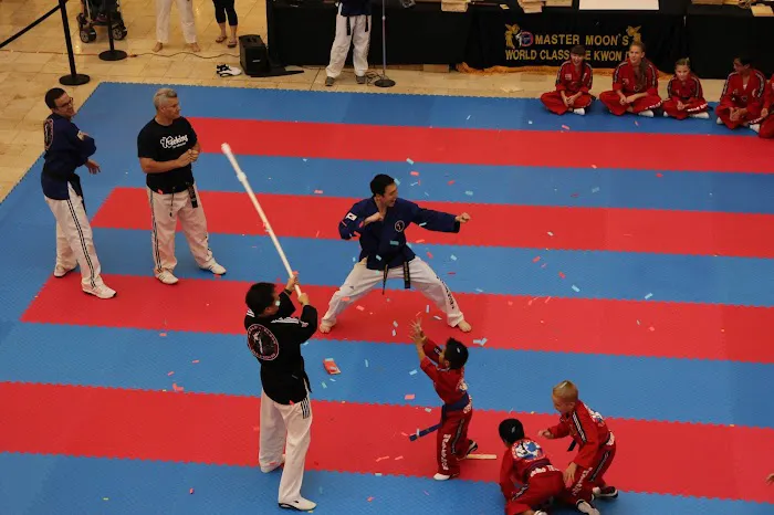 Master Moon's Tae Kwon Do Picture 3