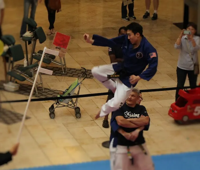 Master Moon's Tae Kwon Do Picture 2