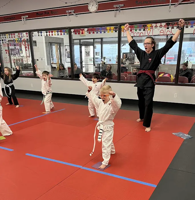 Dojo Karate - Eden Prairie Picture 2
