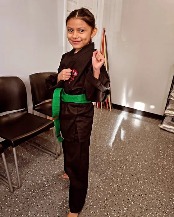 Dojo Karate - Eden Prairie Picture 6