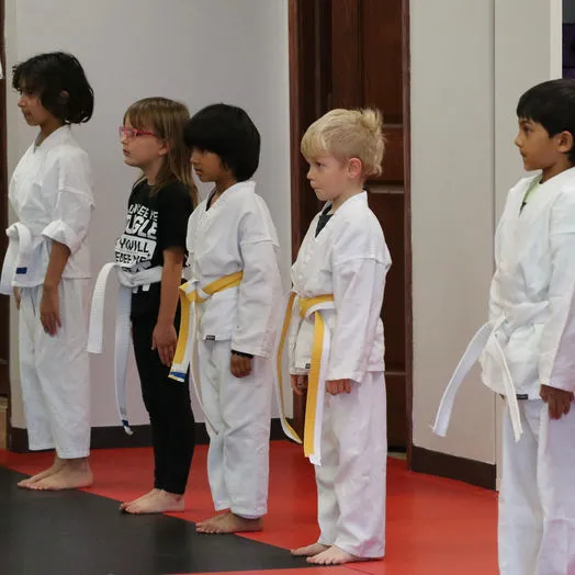 Kahn Martial Arts Picture 5