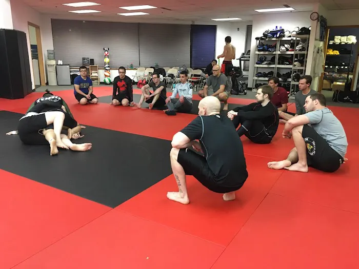 Next Level Combat Picture 4