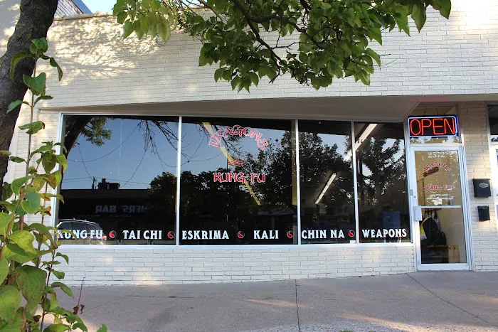 Dragons Kung Fu Picture 1