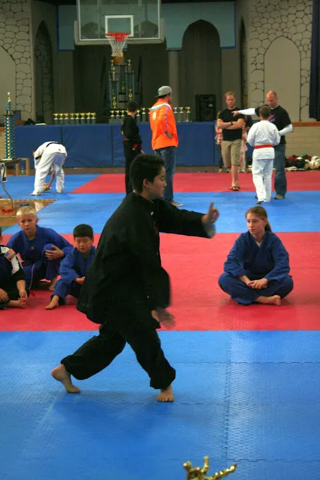 Dragons Kung Fu Picture 2