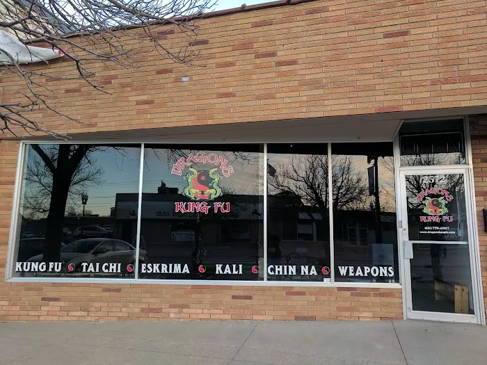 Dragons Kung Fu Picture 4