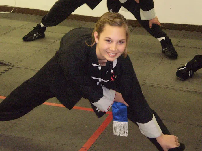 Dragons Kung Fu Picture 5