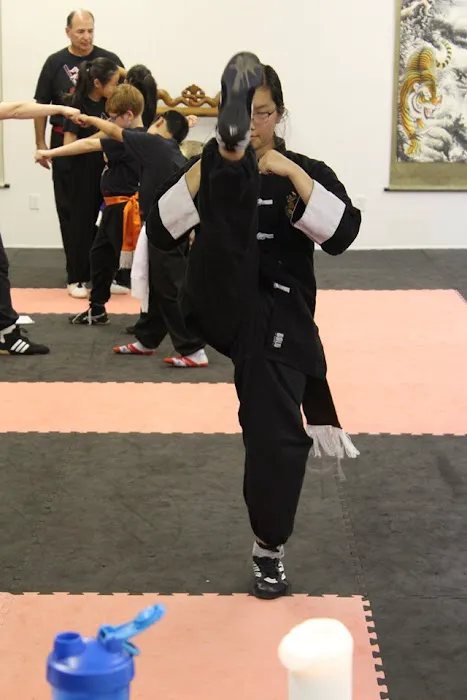 Dragons Kung Fu Picture 6