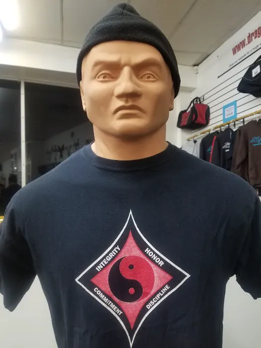 Dragons Kung Fu Picture 9