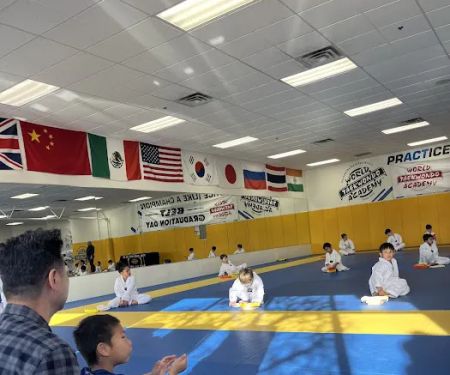 The Best Martial Arts Maple Grove