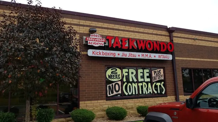 Grandmaster Lee's World Taekwondo Academy Picture 4