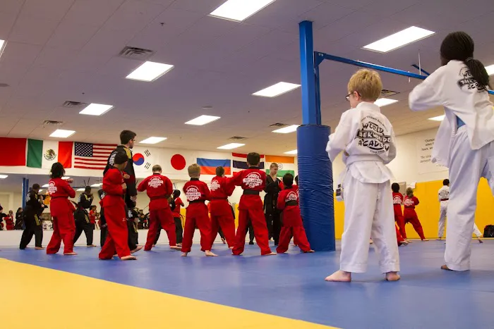 Grandmaster Lee's World Taekwondo Academy Picture 7