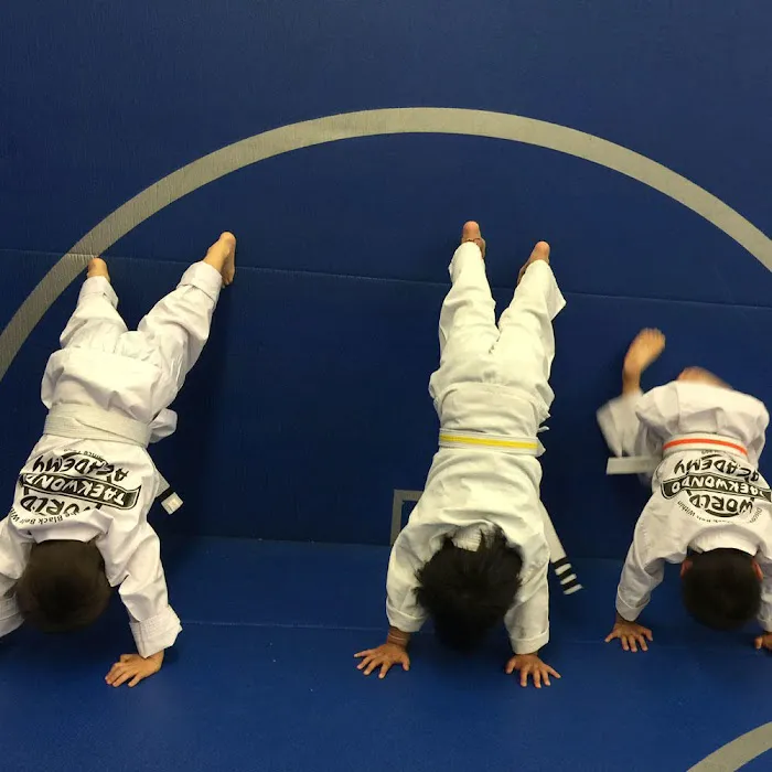 Grandmaster Lee's World Taekwondo Academy Picture 8