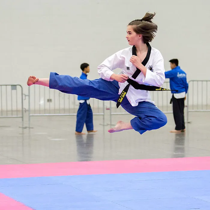 Grandmaster Lee's World Taekwondo Academy Picture 10