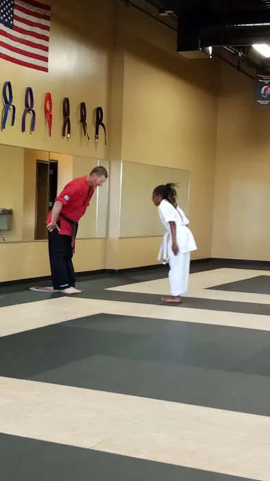Professional Karate Studios Picture 2