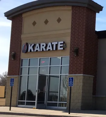 Professional Karate Studios Picture 4