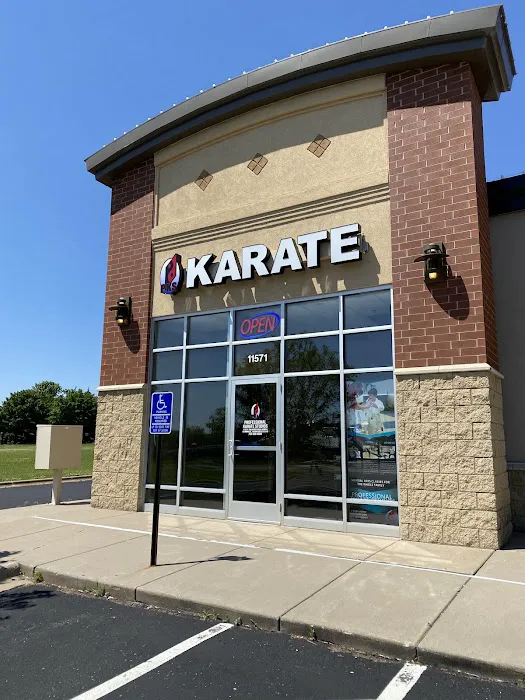 Professional Karate Studios Picture 3