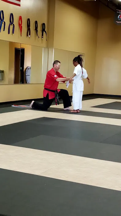 Professional Karate Studios Picture 1