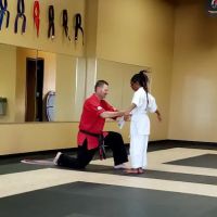 Professional Karate Studios ico