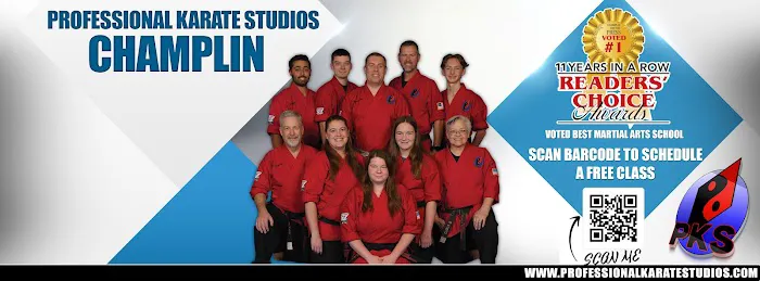 Professional Karate Studios Picture 6