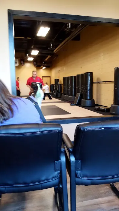 Professional Karate Studios Picture 5