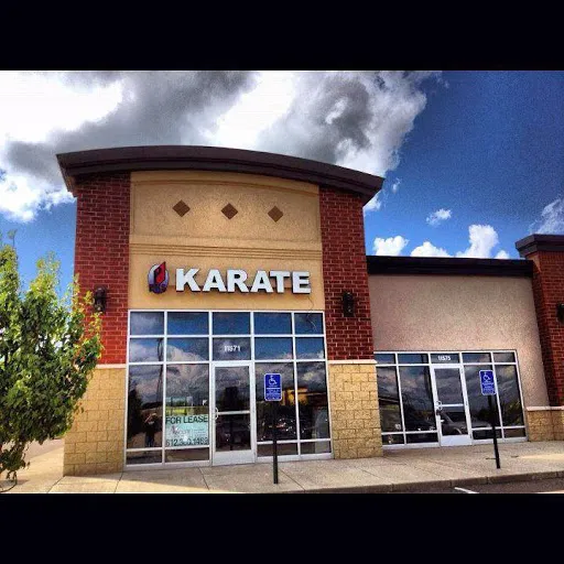 Professional Karate Studios Picture 7