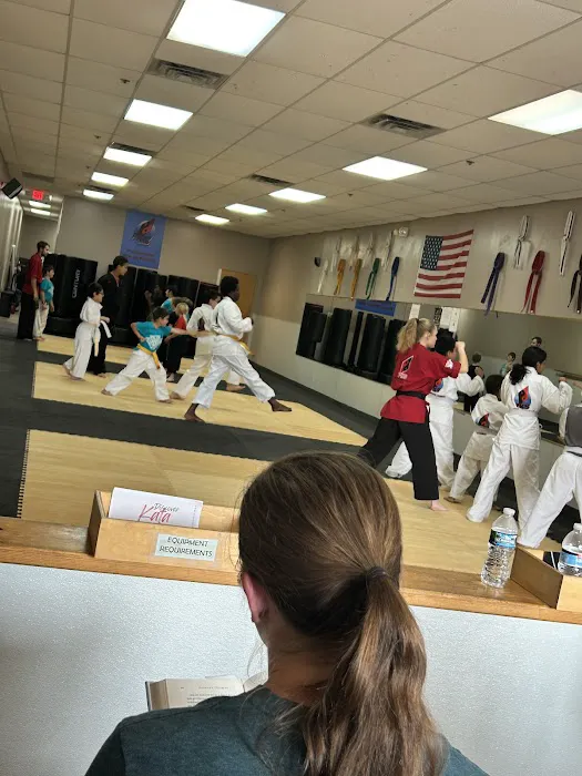 Professional Karate Studios Picture 2