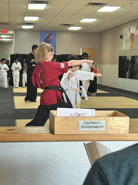 Professional Karate Studios Picture 7