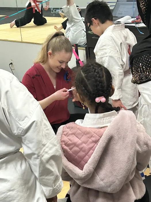 Professional Karate Studios Picture 6