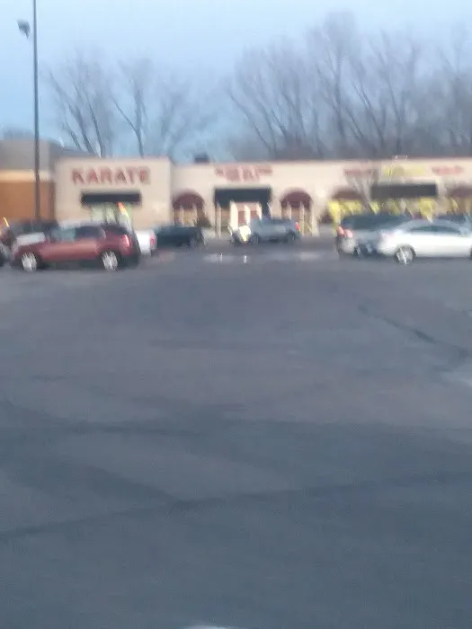 Professional Karate Studios Picture 5