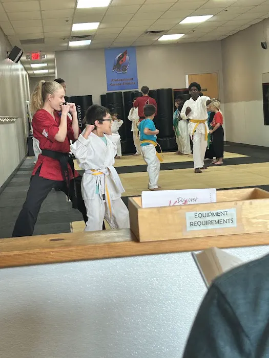 Professional Karate Studios Picture 4